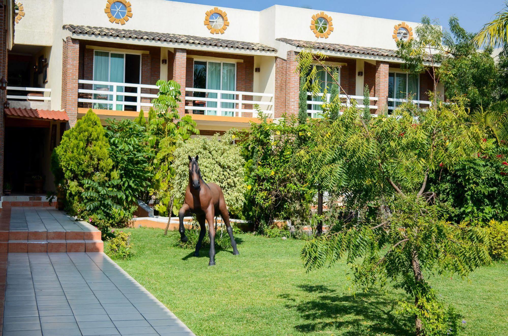 Hotel Quinta La Estampida à Xochitepec Extérieur photo